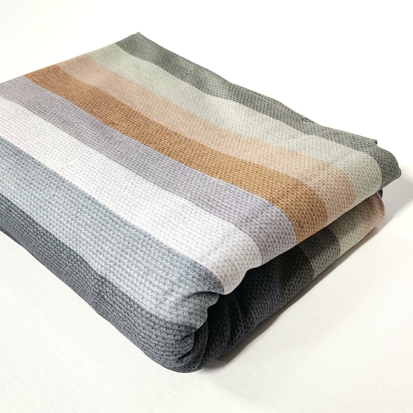 Colorful Dinos Coordinating Stripes