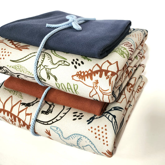 Colorful Dinos Sweatshirt Fleece Bundles