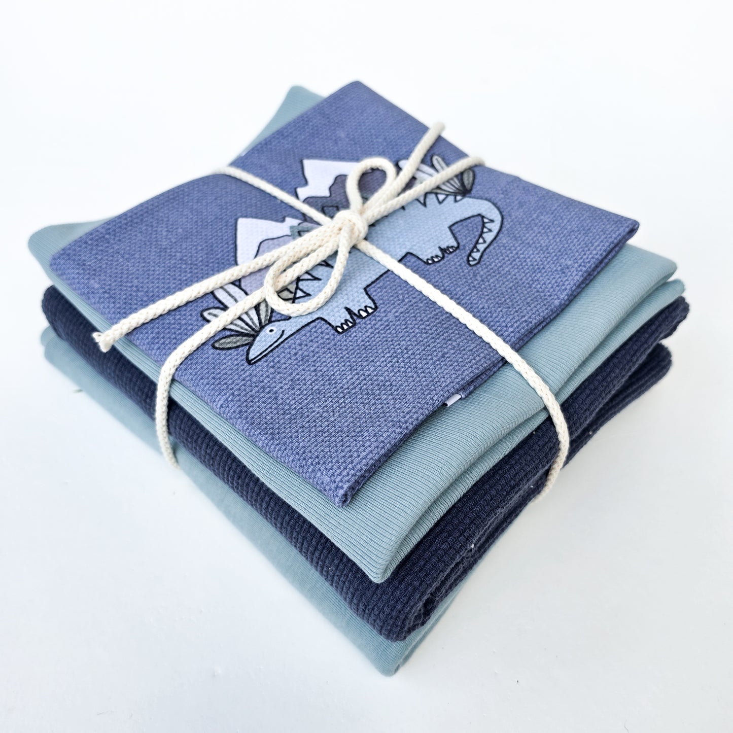 Aruba and Navy Dino Bundle
