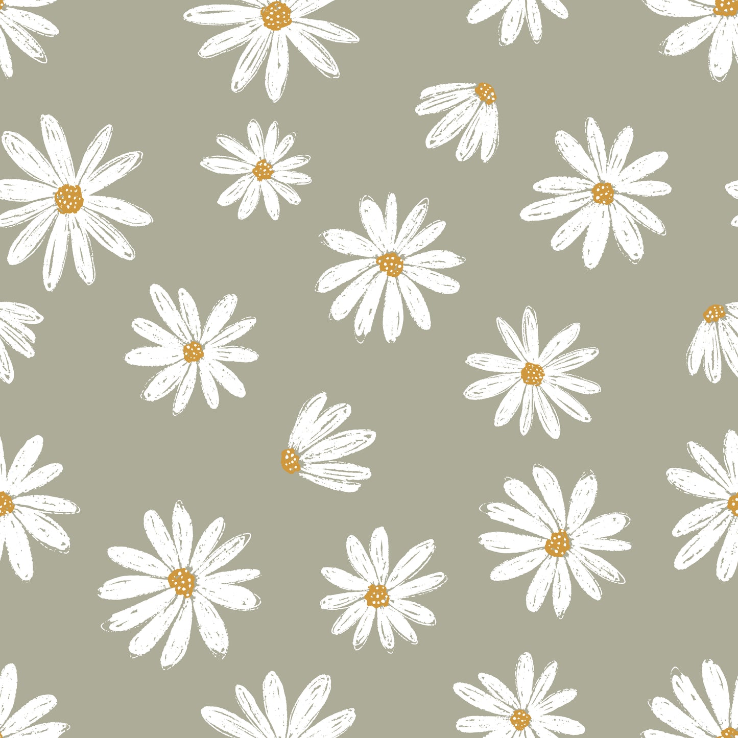 Daisies