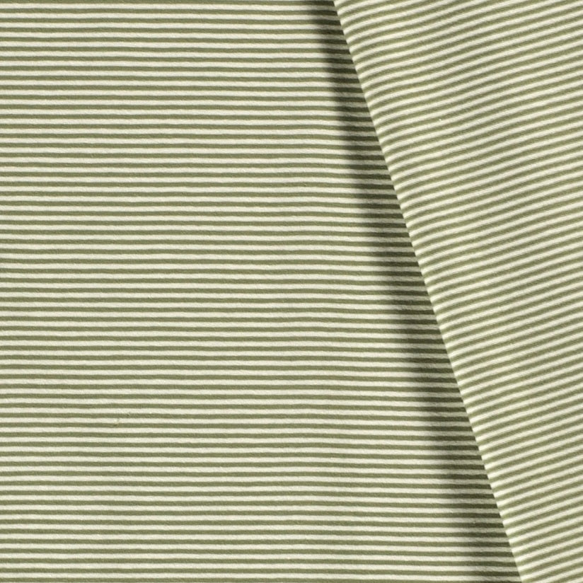 Yarn Dyed Jersey Stripes and Rib - Forest Green