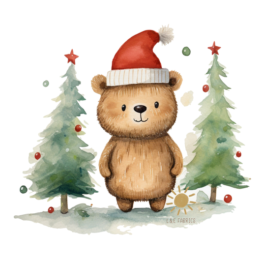 Winter Collection DTF - Teddy