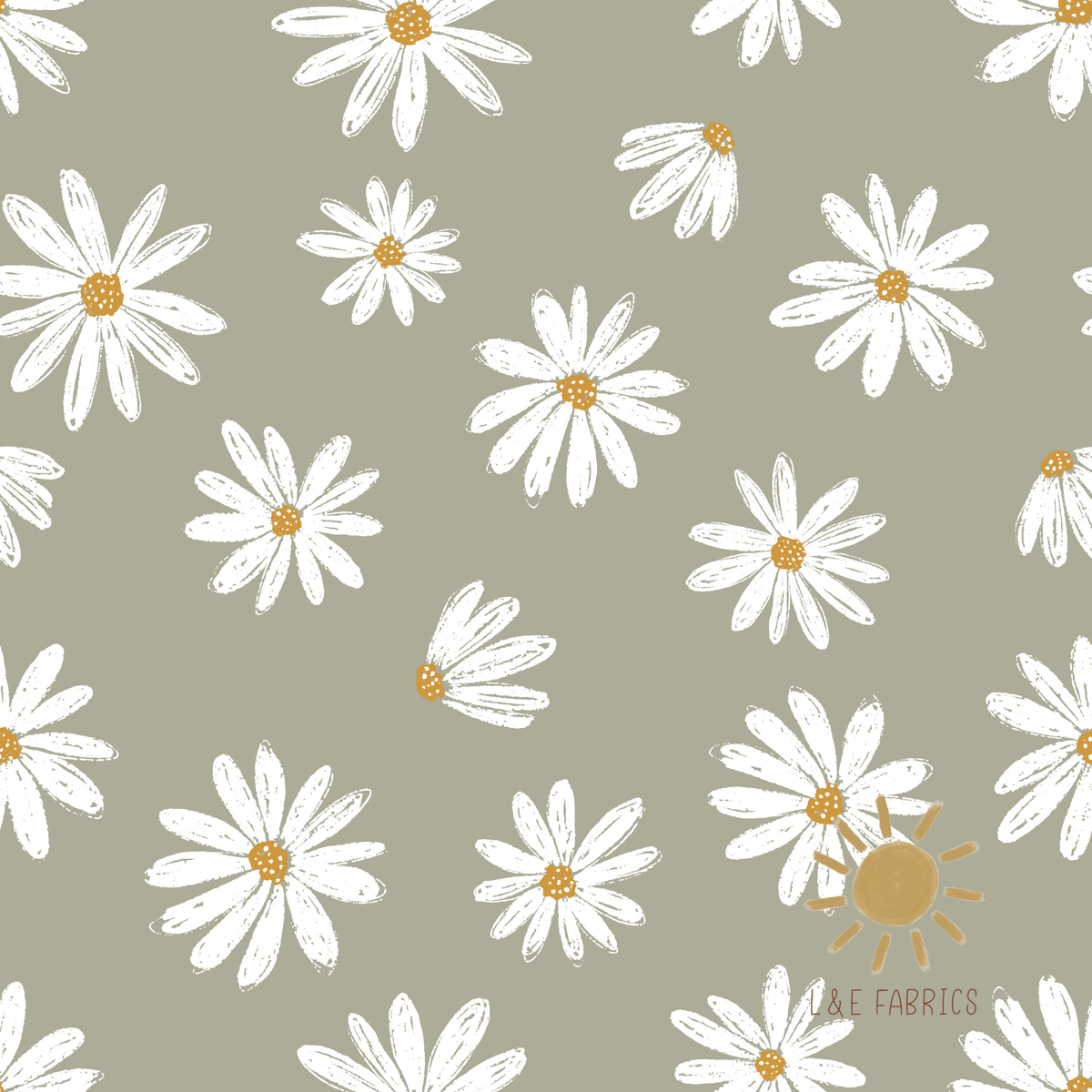 Daisies